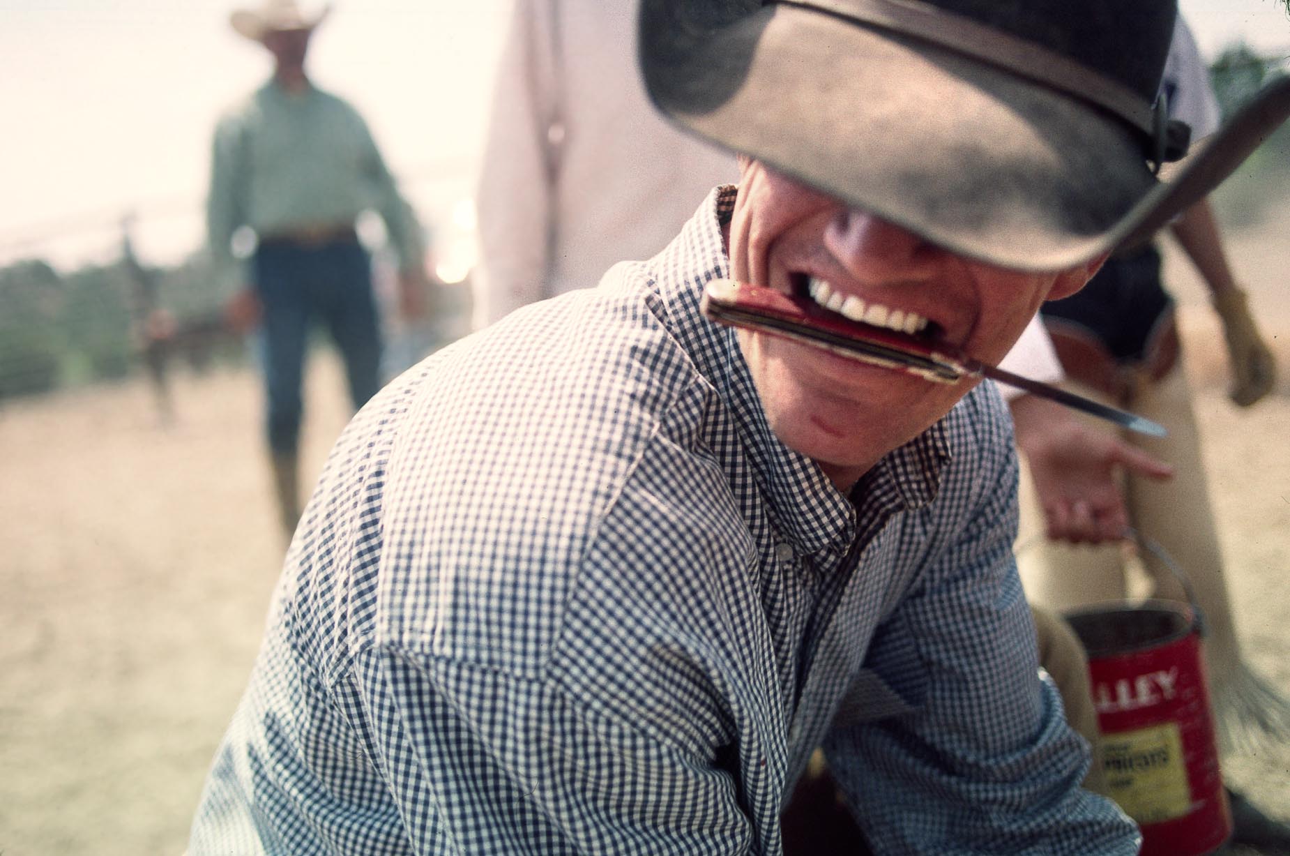 cowboy blade-Edit.jpg